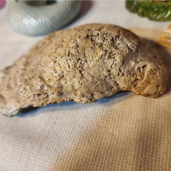 DECOUPAGE JAPANESE STYLE OYSTER SHELL - Picture 8 of 8